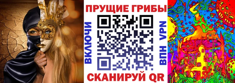 ссылка на мегу маркетплейс  Туринск  Псилоцибиновые грибы Psilocybine cubensis 